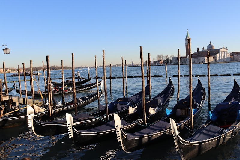 Gondolas moored on the Grand Canal, Venice, Italy