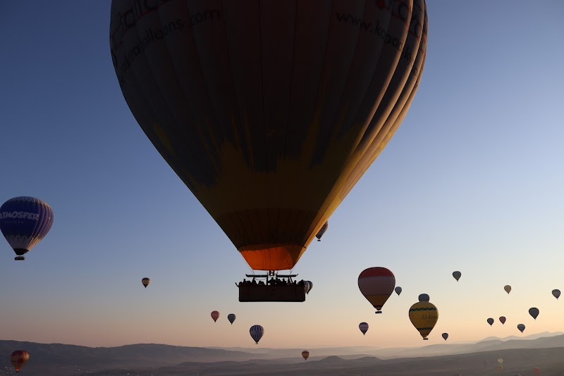 Dozens of hot air balloons ascending at dawn over Cappadocia, Turkey