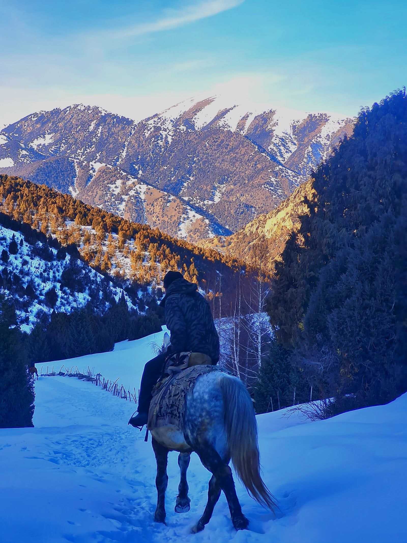 Rider on horseback silhouetted against deep snow with golden-lit pine forests and snow-capped peaks rising behind