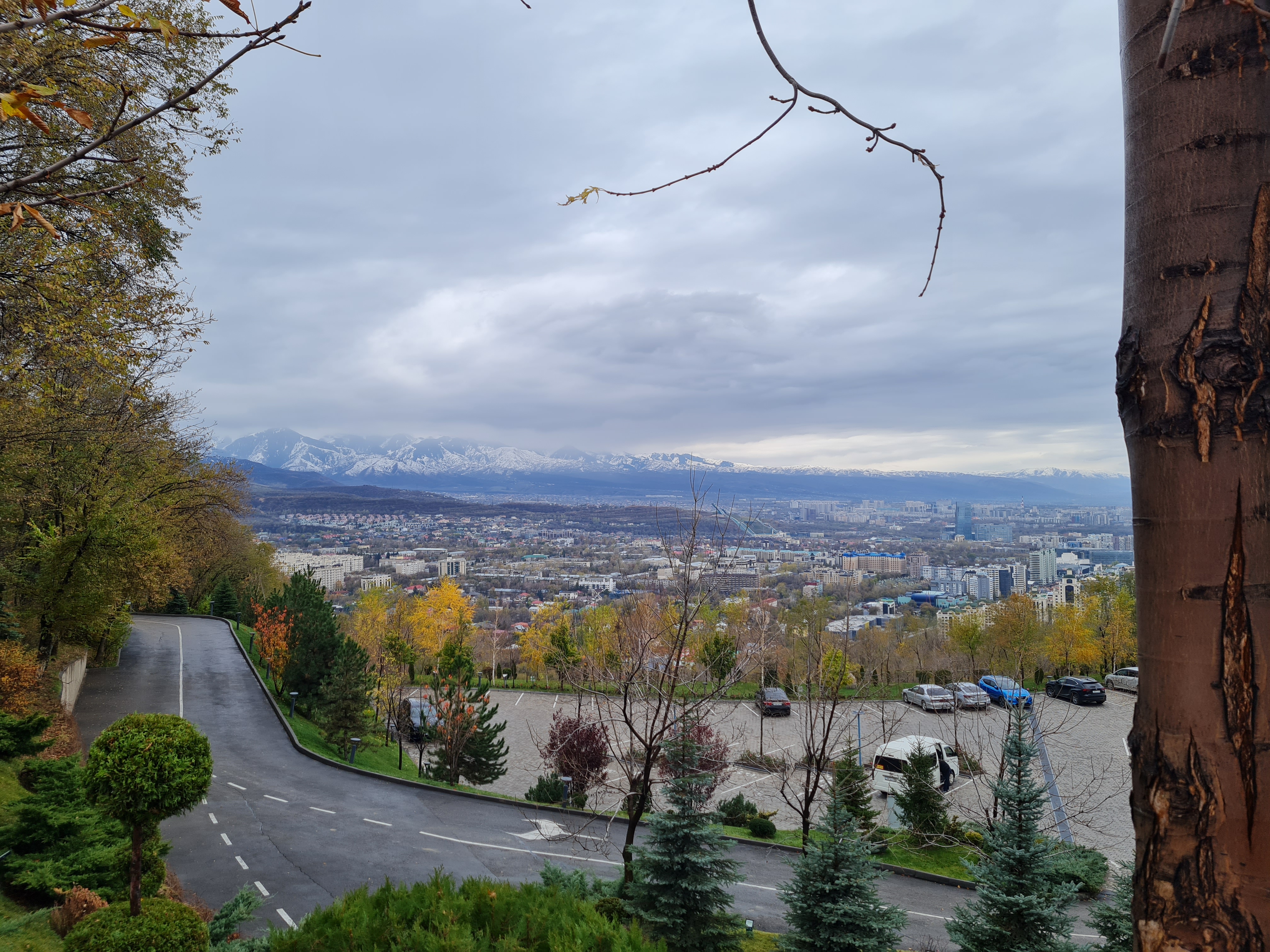 Almaty cityscape spread across a valley of autumn trees viewed from Kok-Tobe hill, snow-capped Tian Shan peaks on the horizon